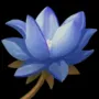 1313.webp