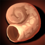 mw_beasts_kills_snail.png