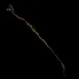 568.webp
