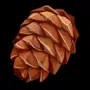 425.webp