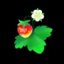 288.webp