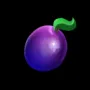 293.webp