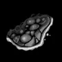 312.webp