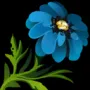 456.webp