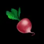 291.webp