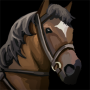 msc_horsycarrots.png